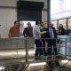 «Պռոշյանի կոնյակի գործարանում» խաղողի մթերումները հասել են 13 հազար տոննայի