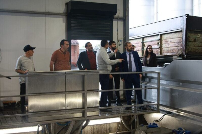 «Պռոշյանի կոնյակի գործարանում» խաղողի մթերումները հասել են 13 հազար տոննայի