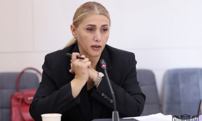 Էլինար Վարդանյանը IODA-ի առաքելությանը ներկայացրել է Հայաստանում ժողովրդավարության հետընթացի վերաբերյալ փաստեր