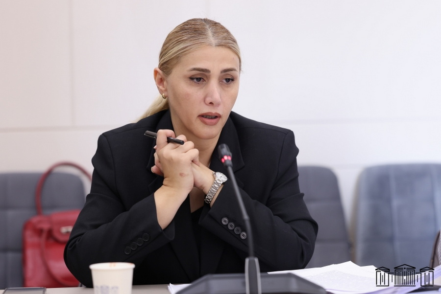Էլինար Վարդանյանը IODA-ի առաքելությանը ներկայացրել է Հայաստանում ժողովրդավարության հետընթացի վերաբերյալ փաստեր