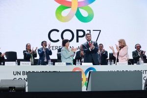 На COP17 в Ереване приняли более 40 решений по ускорению глобальных мер по сохранению биоразнообразия