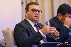 Абисогомонян: сохранение биоразнообразия должно стать частью экономической и социальной повестки