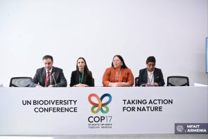 На COP17 обсудили вклад традиционных знаний в сохранение биоразнообразия