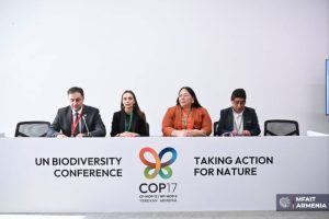На COP17 обсудили, как традиционные знания помогают сохранять биоразнообразие