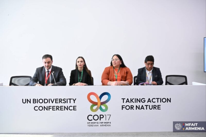 На COP17 обсудили, как традиционные знания помогают сохранять биоразнообразие