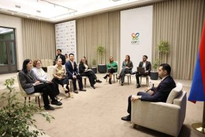 Матевосян призвал донести послания COP17 до мировой аудитории