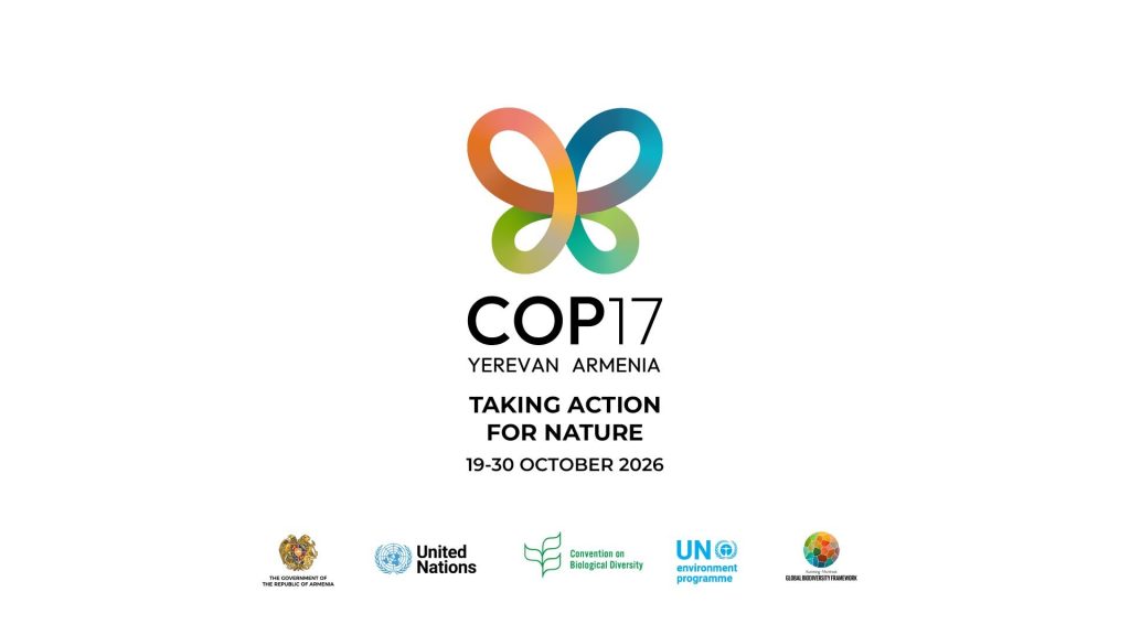 На проведение COP17 в Армении предусмотрели 18,5 млрд драмов
