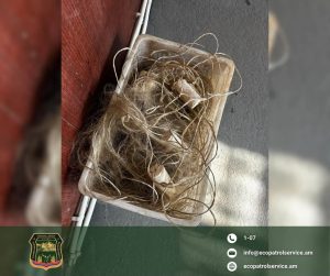 На Спандарянском водохранилище выявили незаконный вылов около 15 кг рыбы