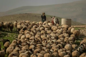 Гражданина Азербайджана, оказавшегося на территории Армении, передали властям Азербайджана