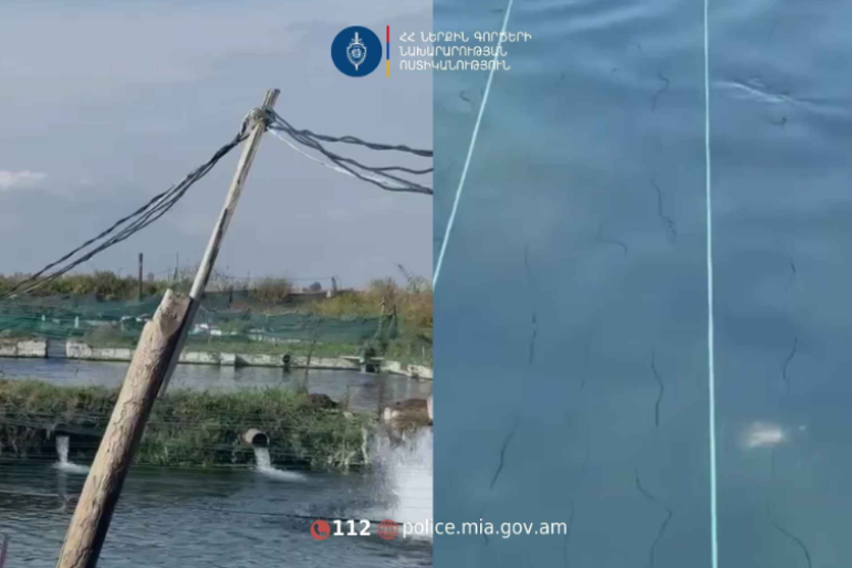 Главу Сипаника и его сына задержали по делу о незаконном рыбоводстве