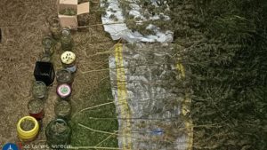 В Степанаване обнаружили 804 грамма вещества, похожего на марихуану