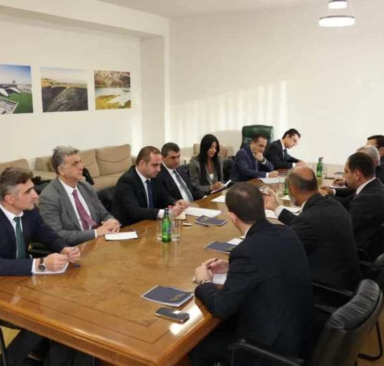 Հայաստանն ու Թուրքիան քննարկել են Գյումրի–Կարս էլեկտրահաղորդման գծի գործարկումը
