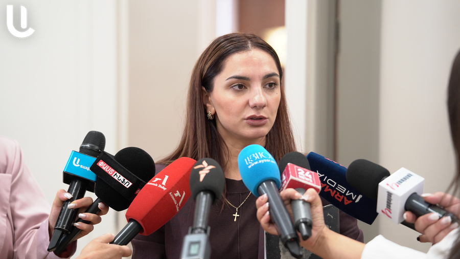 Արեգա Հովսեփյան․ ծնողները տեղյակ չեն եղել, որ իրենց ԴՆԹ անալիզները փոխանցվել են Ադրբեջանին