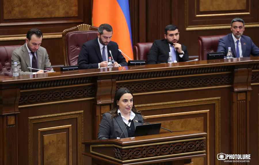 «Սնուփ Դոգի համերգը ձախողած կազմակերպությանը 90 տոկոս կանխավճար են տվել»․ Լենա Մաթևոսյան