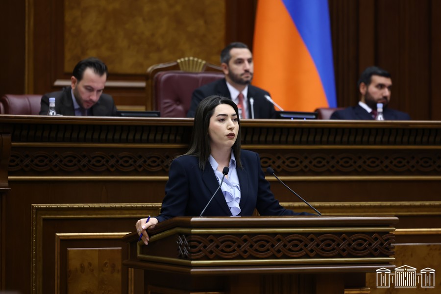 «За нами следят жертвы семейного насилия»: министр призвала осторожно обсуждать законодательные изменения