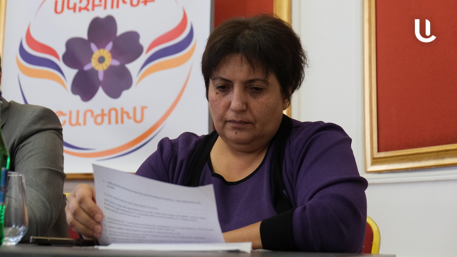 Нина Карапетянц: создание комиссии по кризису в Армянской церкви является уголовно наказуемым деянием