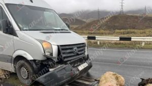 На трассе Ереван—Севан—Иджеван Volkswagen насмерть сбил 18 овец